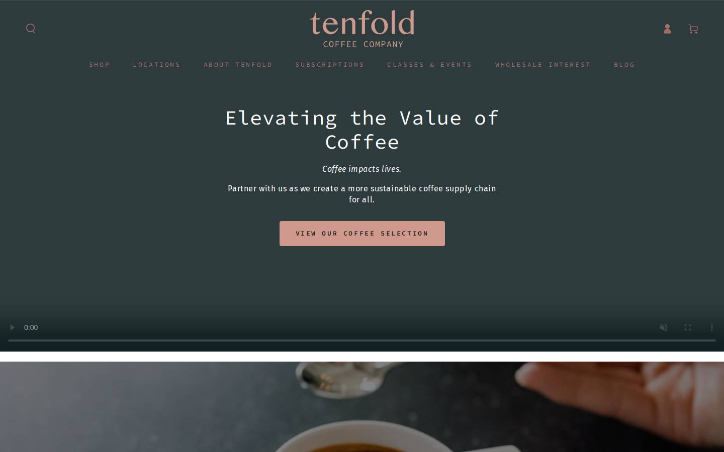 Tenfoldcoffee homepage screenshot