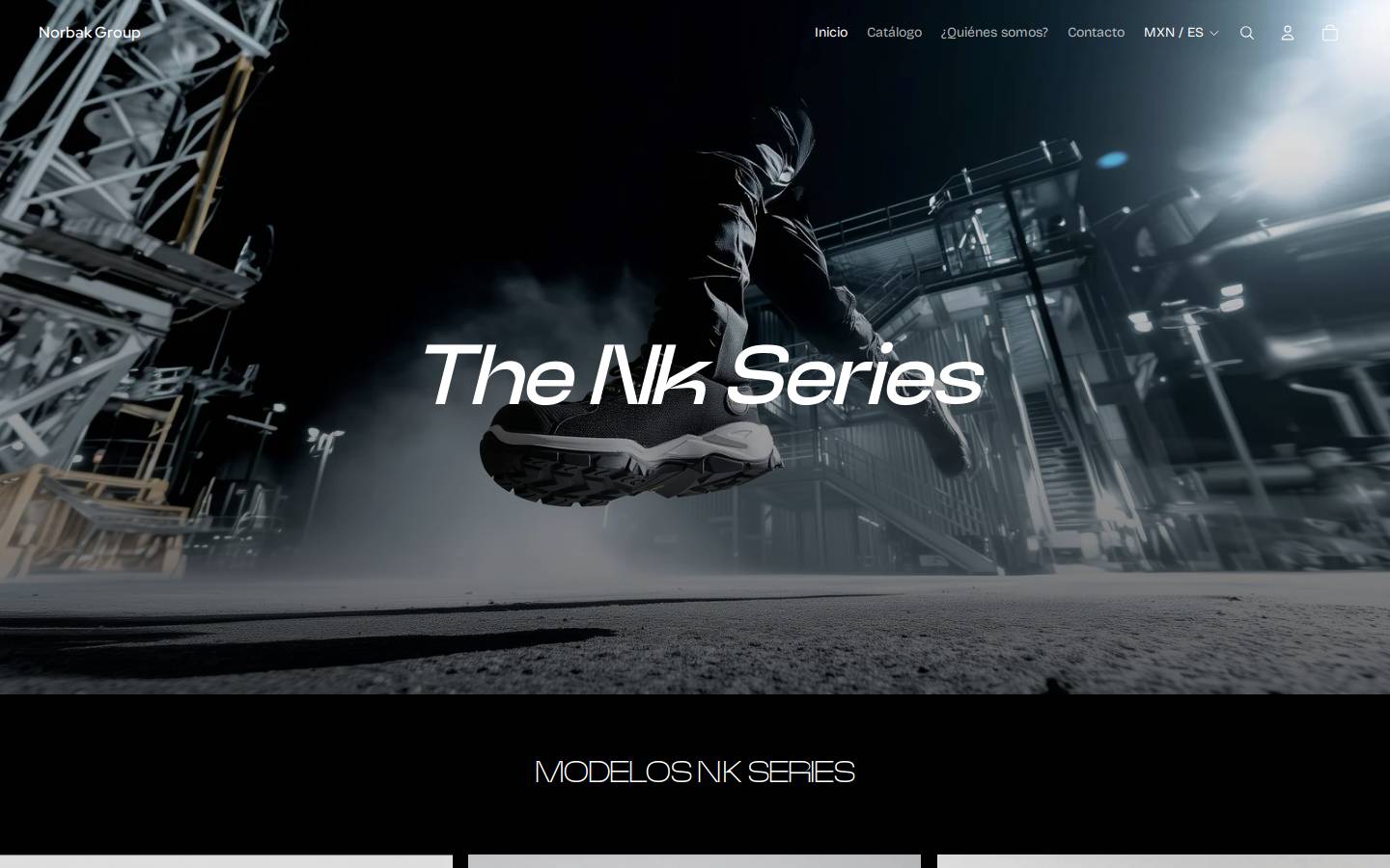 tenisseguridad.com homepage screenshot