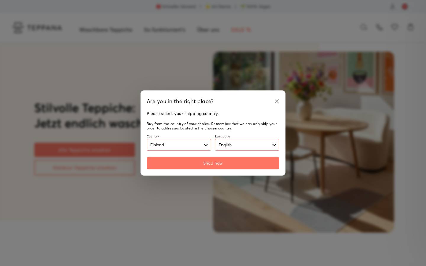 Teppana Schweiz homepage screenshot