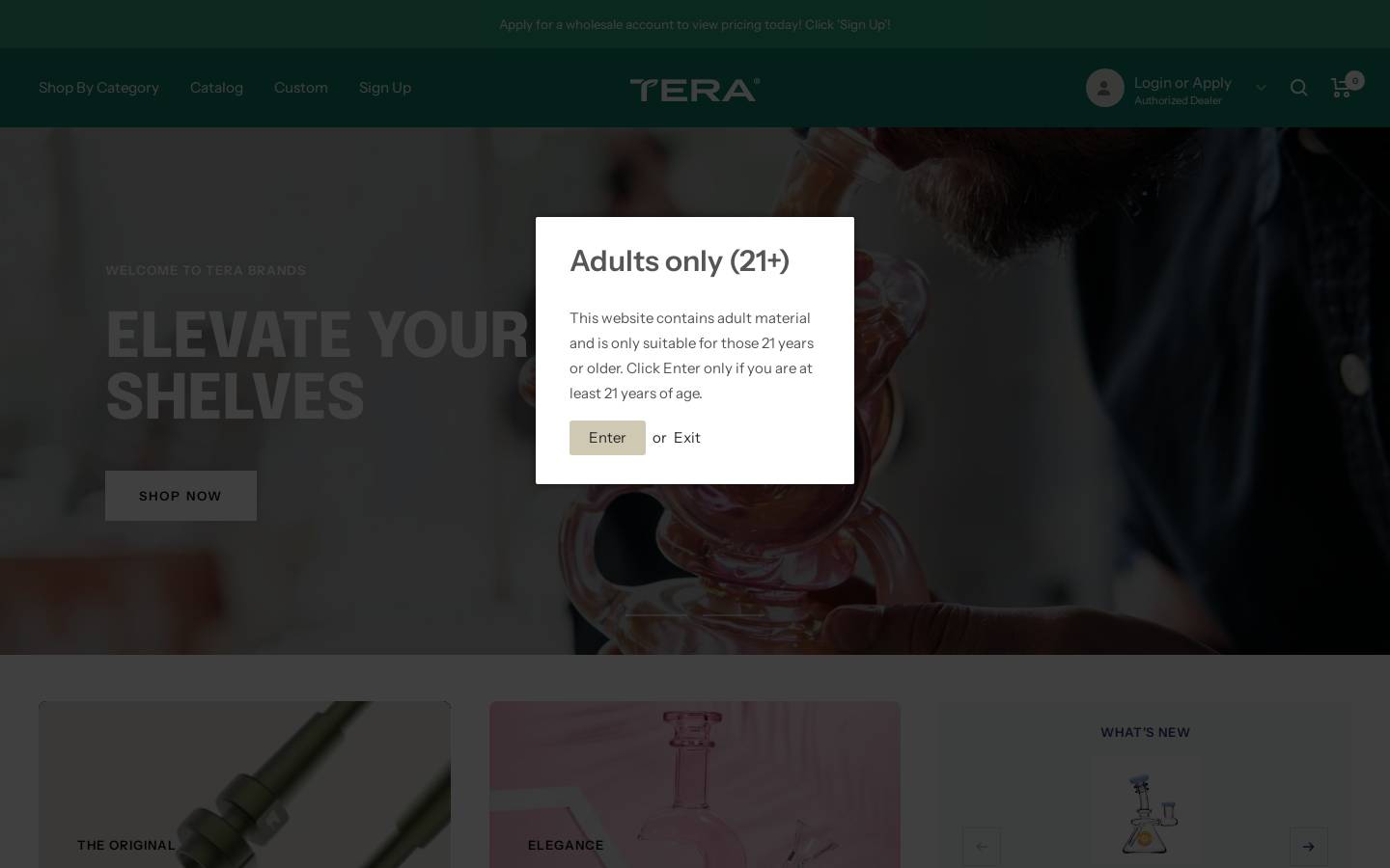 terabrands.co homepage screenshot