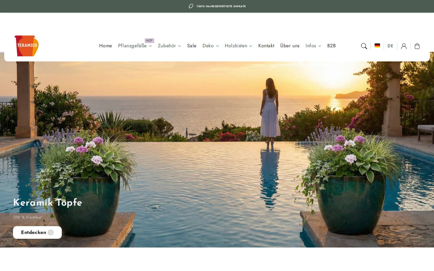 teramico.de homepage screenshot