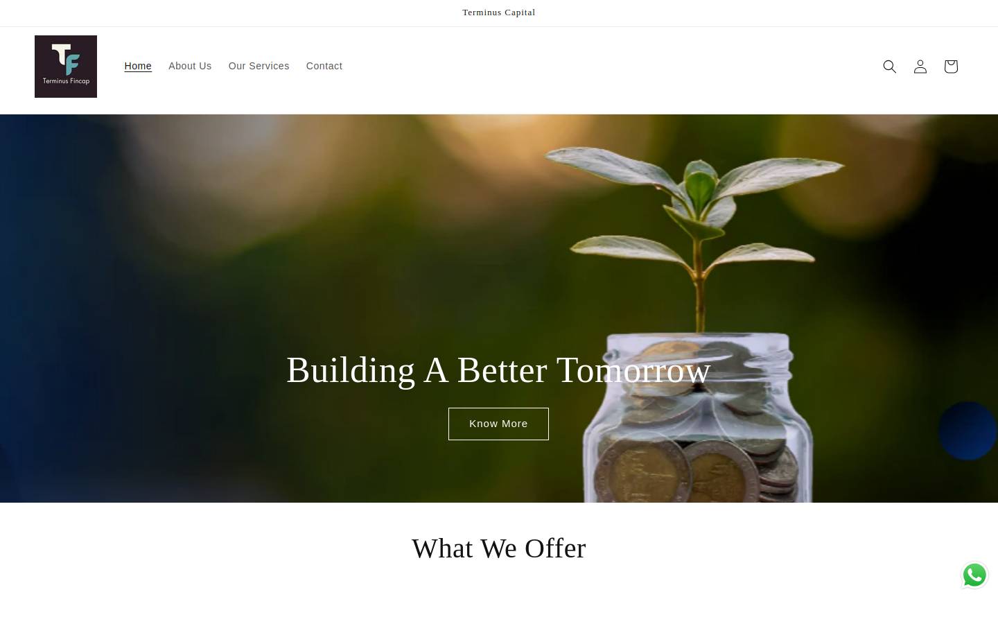 terminusfincap.com homepage screenshot