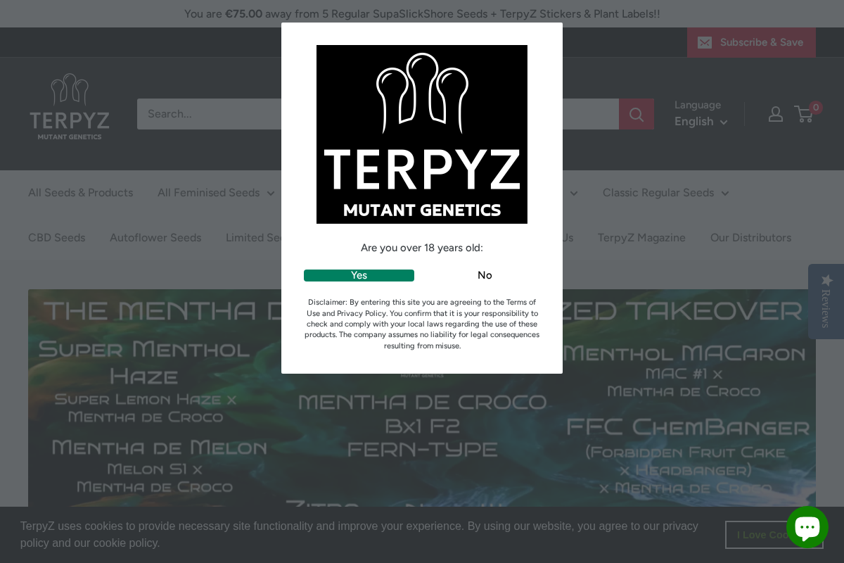 Terpyz homepage screenshot