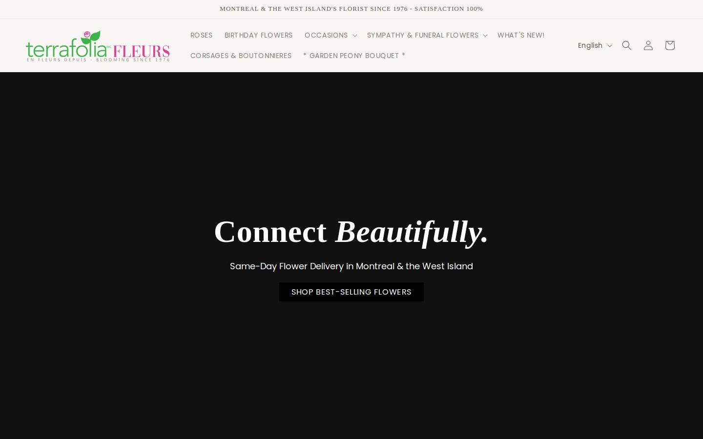 Terrafolia homepage screenshot