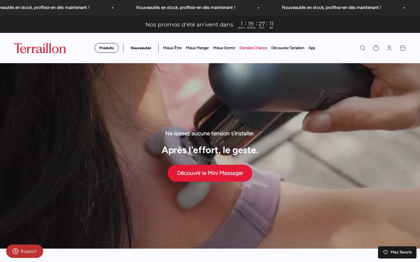Terraillon homepage screenshot