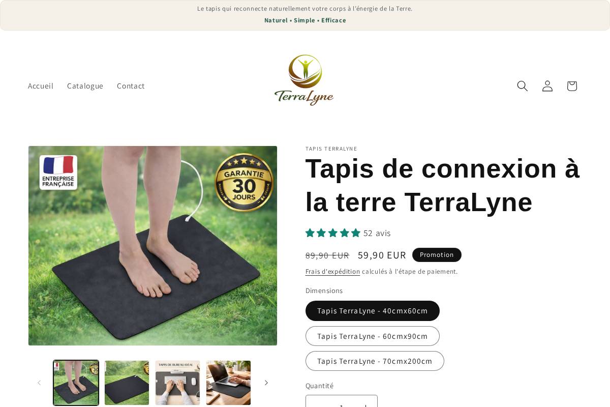 terralyne.com homepage screenshot