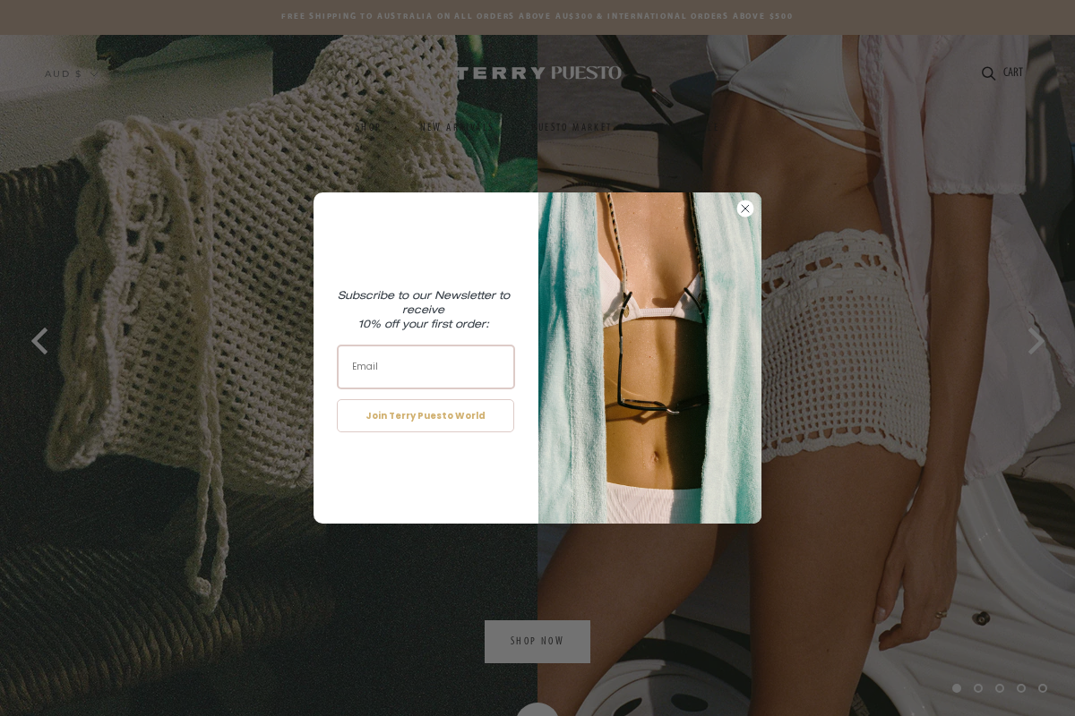 terry-t.com homepage screenshot
