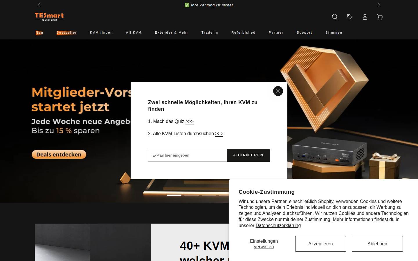 Tesmart homepage screenshot