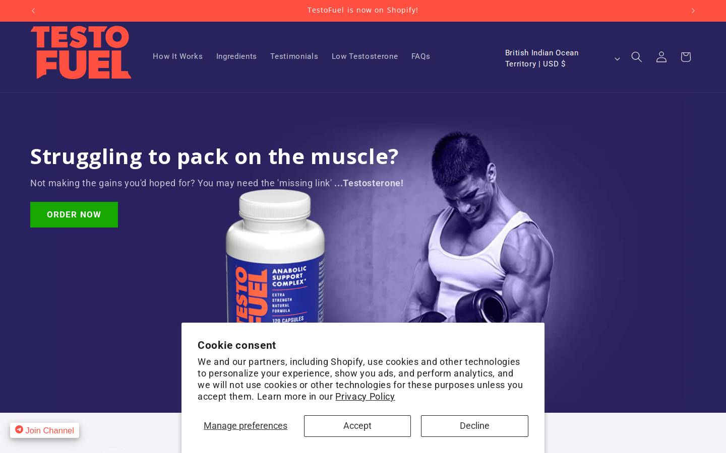 Testo Fuel homepage screenshot