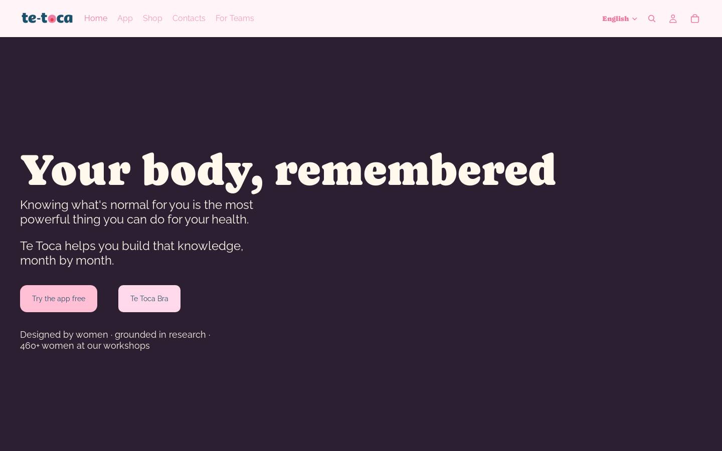 tetocaproject.com homepage screenshot