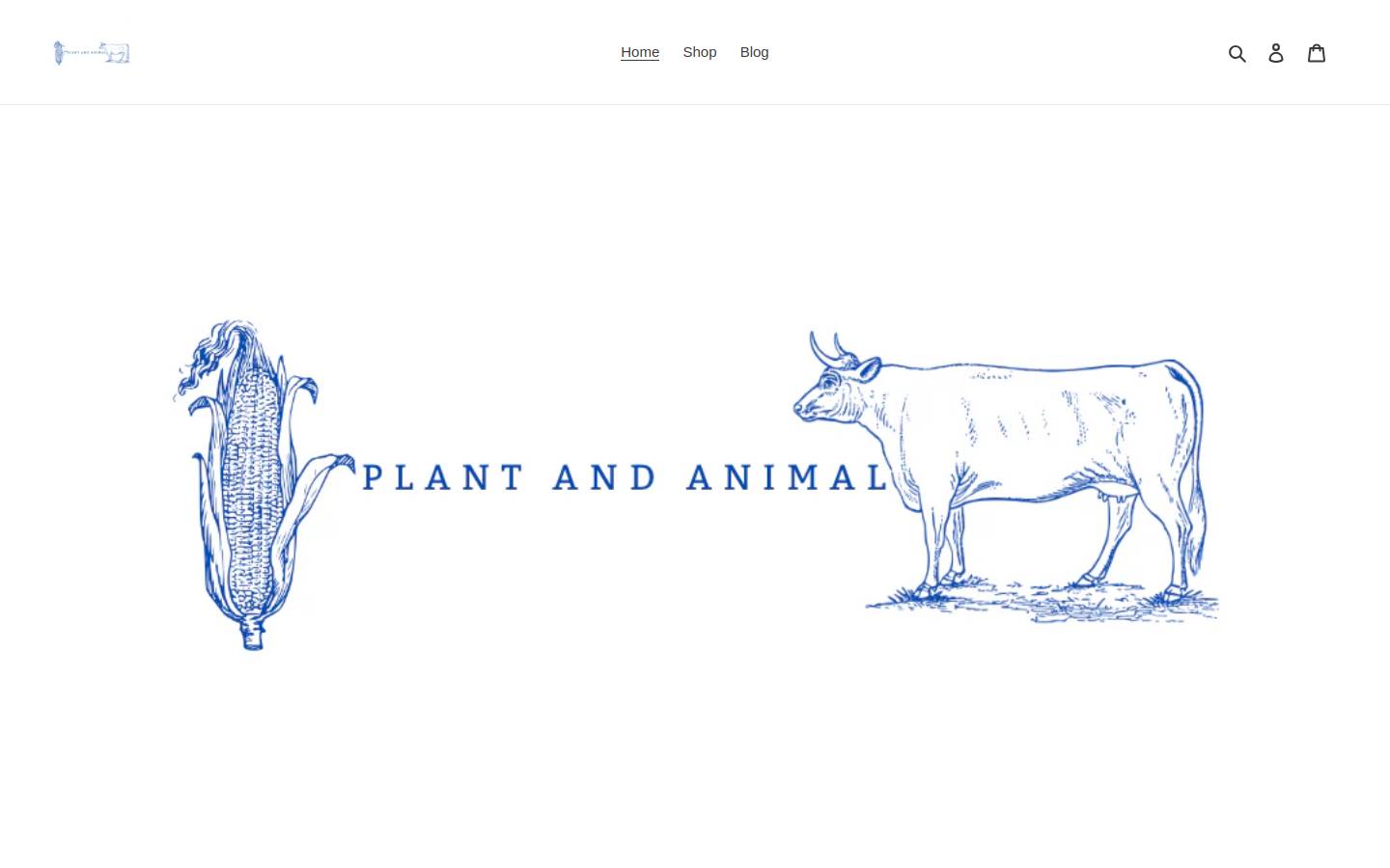 texashillcountrygoodies.com homepage screenshot