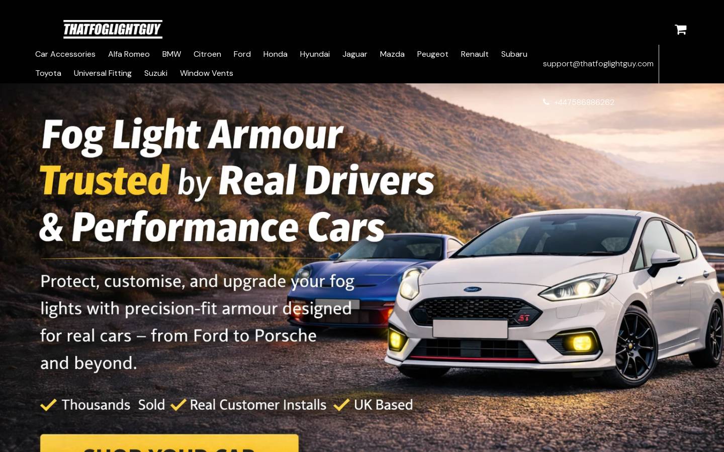 thatfoglightguy.com homepage screenshot