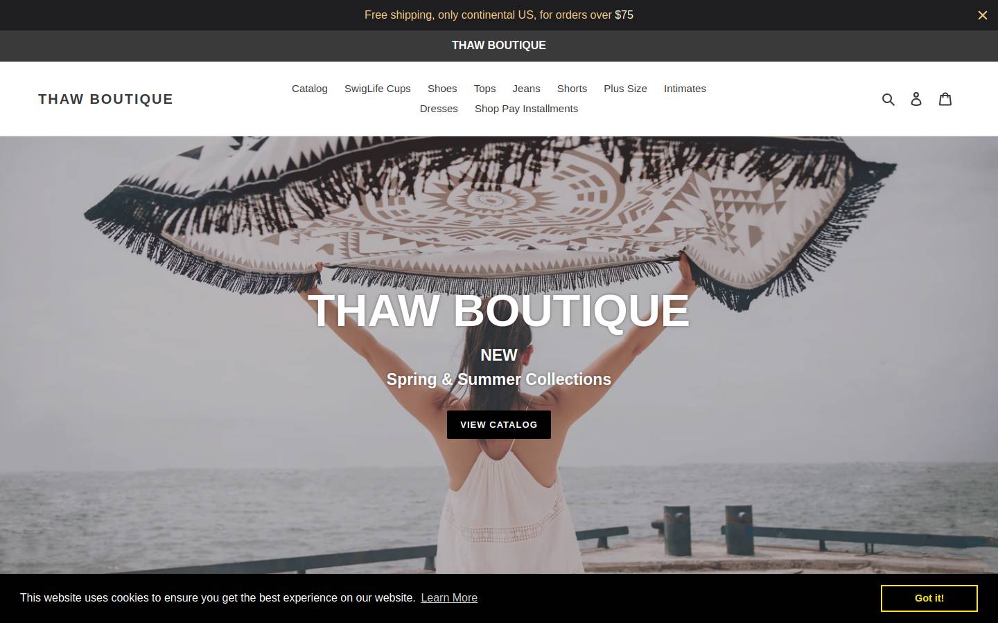 thawboutique.com homepage screenshot