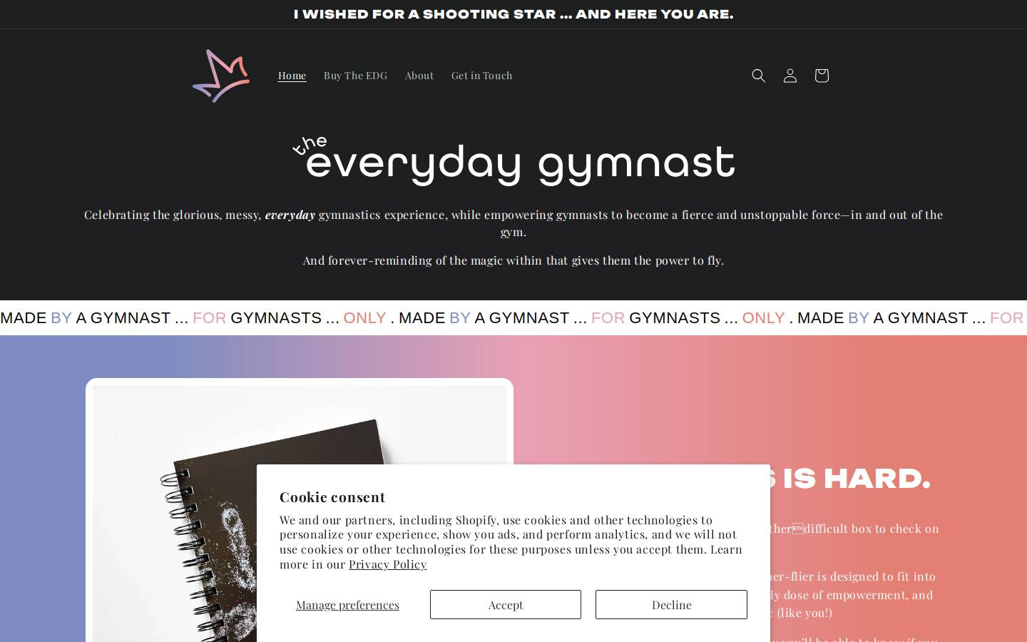 the-everydaygymnast.com homepage screenshot