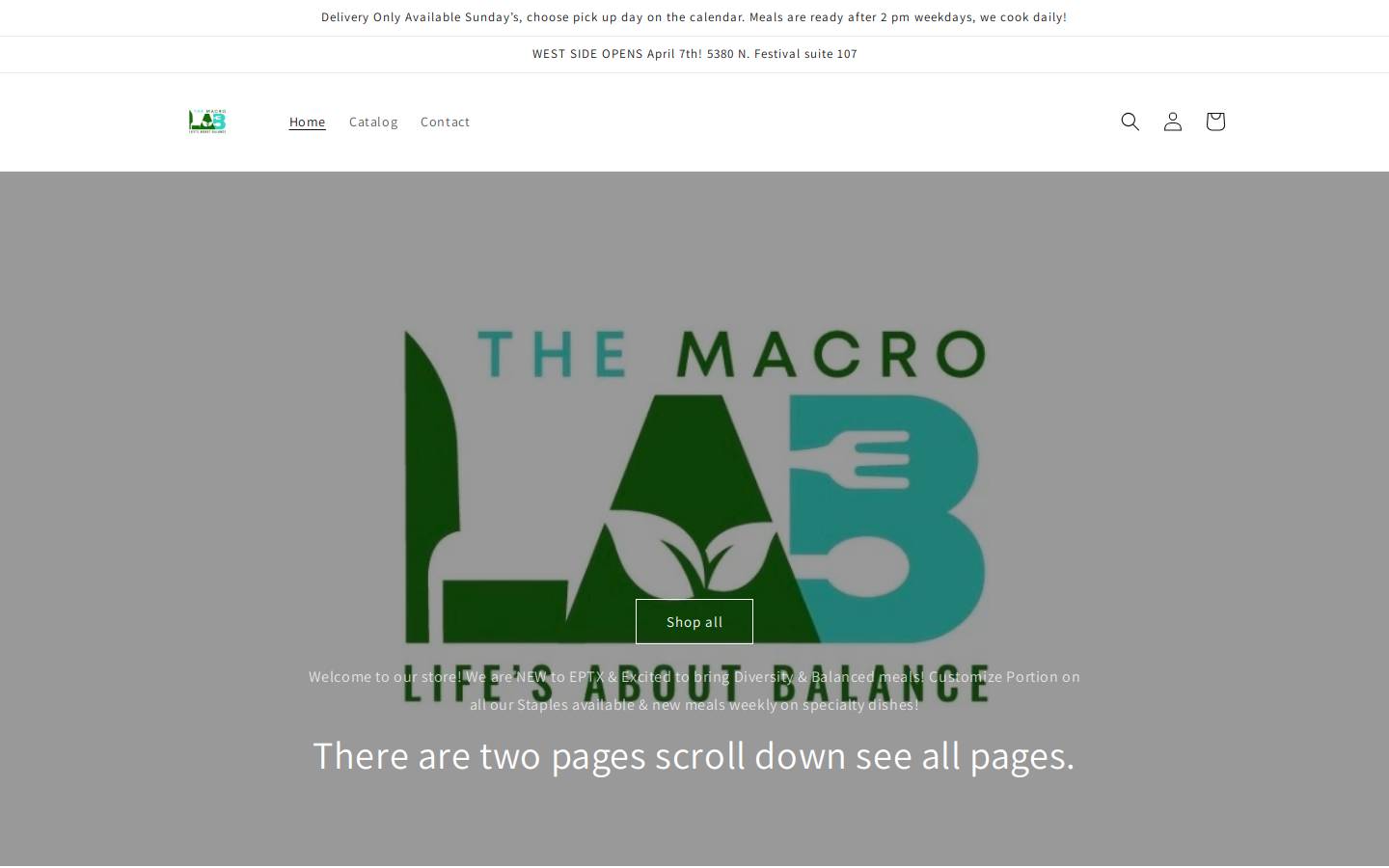 the-macrolab.com homepage screenshot