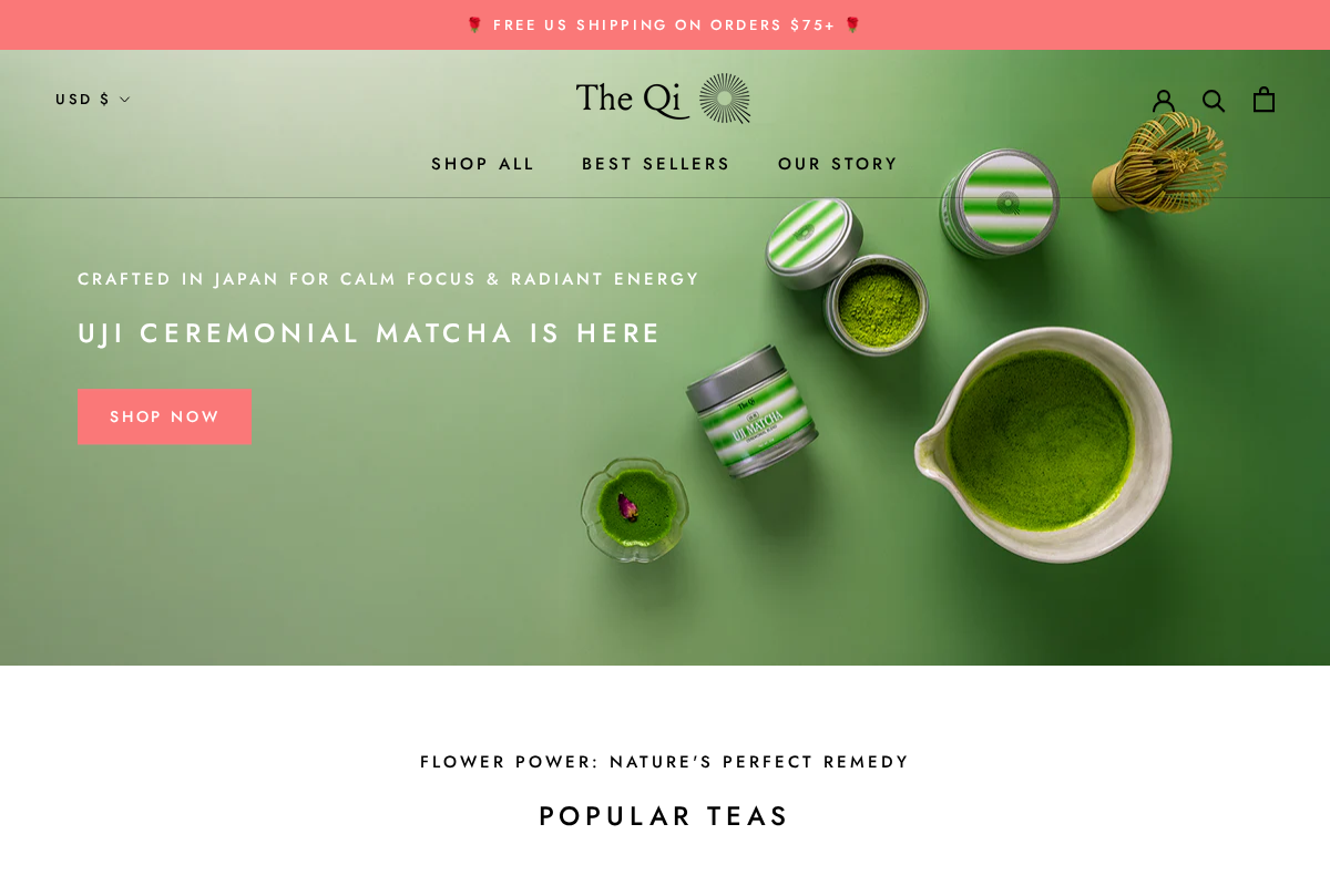 the-qi.com homepage screenshot