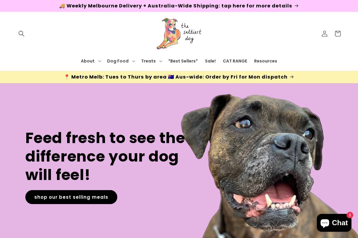 the-saltiest-dog.com.au homepage screenshot