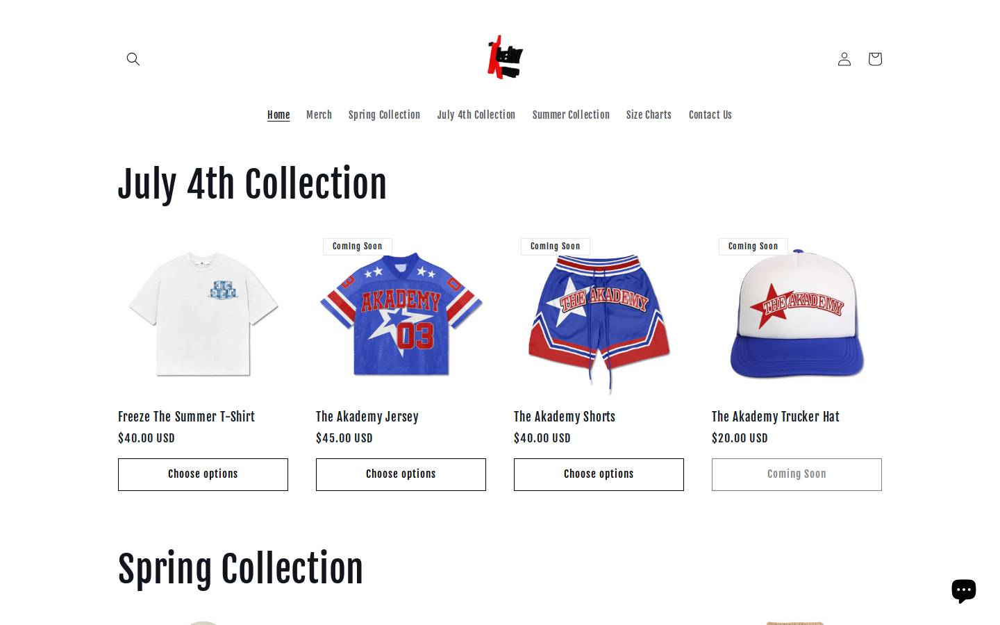 theakademy.shop homepage screenshot