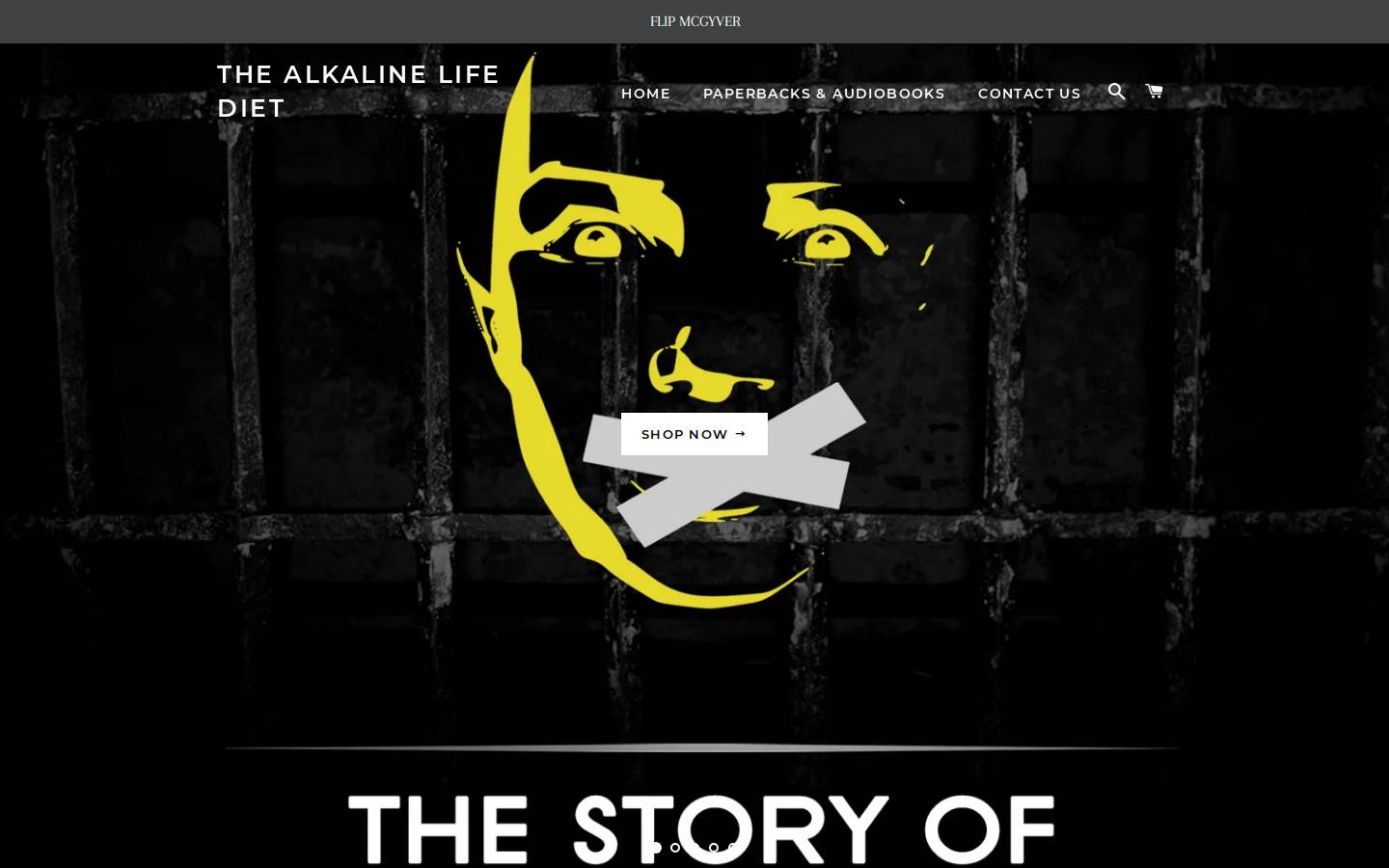 thealkalinelifediet.com homepage screenshot