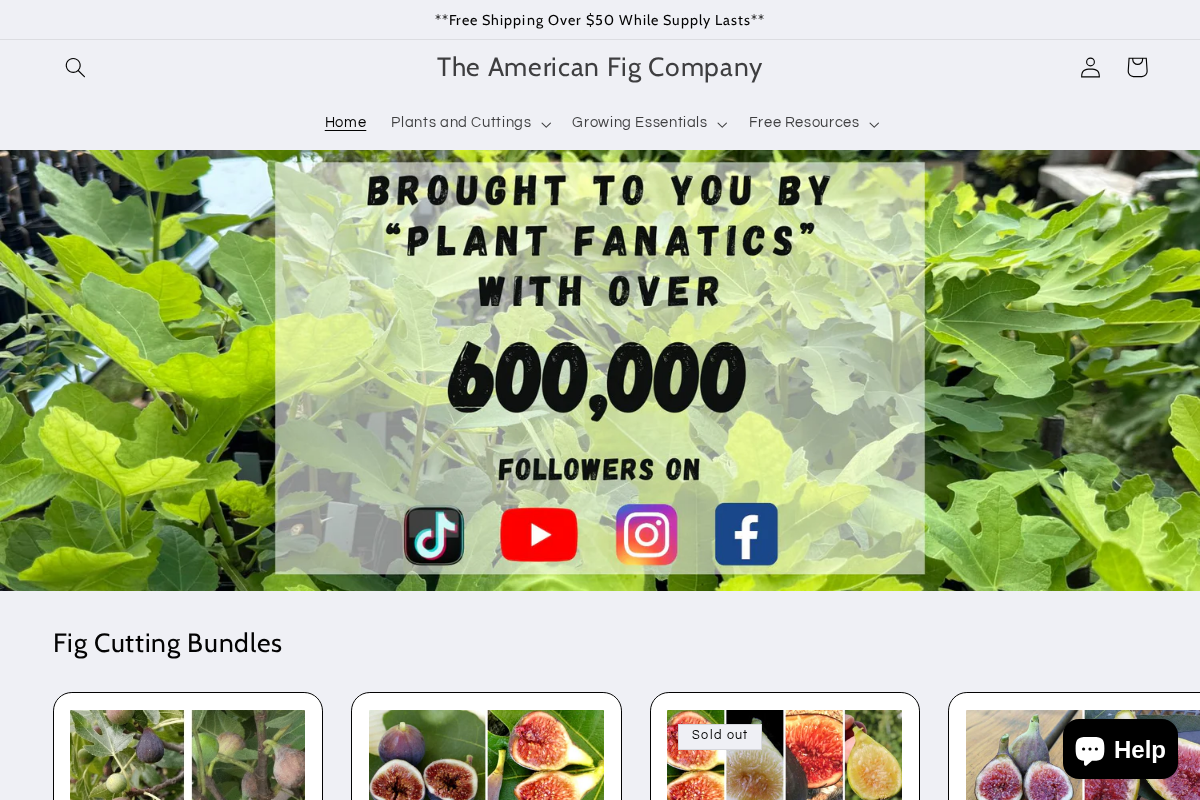 The American Fig Company homepage screenshot