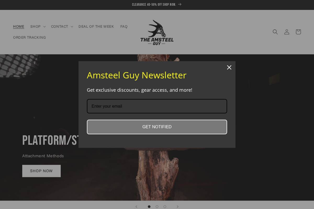theamsteelguy.com homepage screenshot