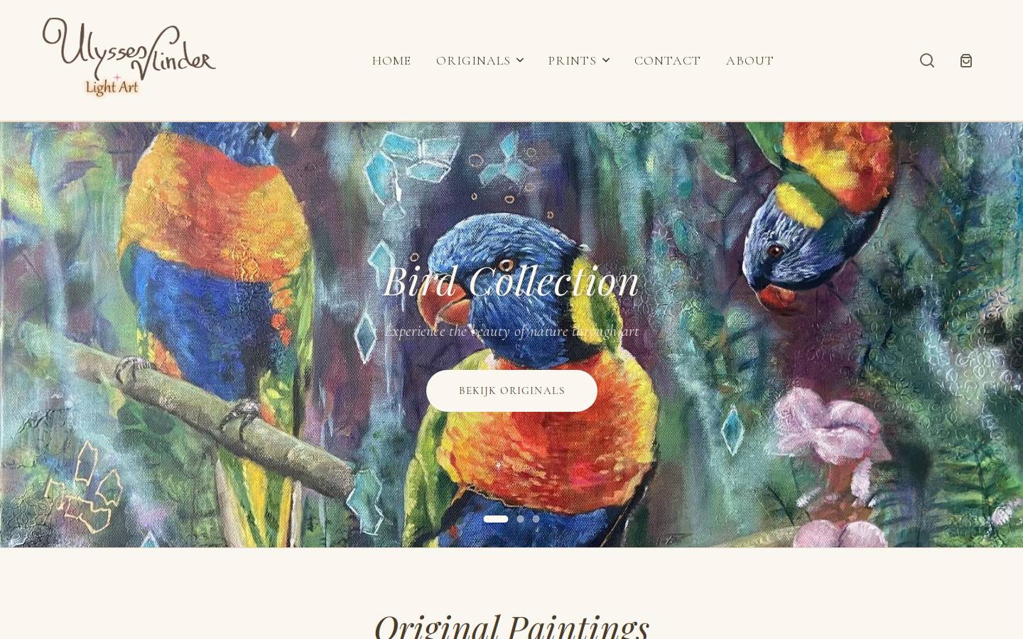 theartoflivinglight.nl homepage screenshot