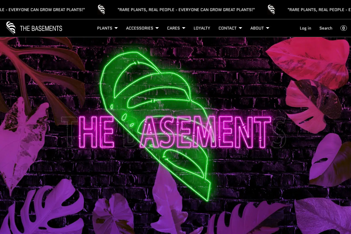 thebasements.com homepage screenshot