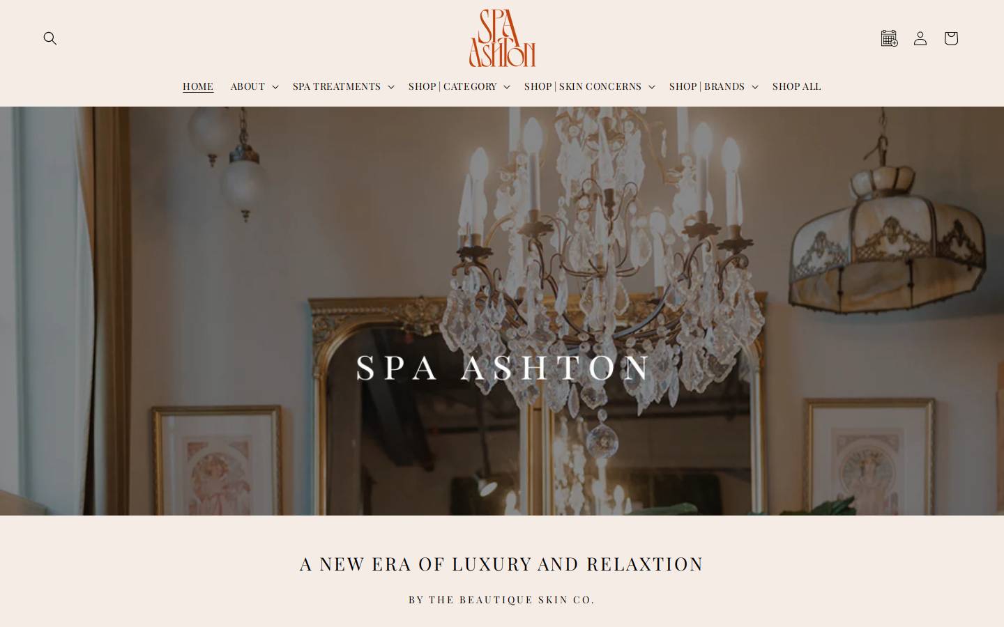 thebeautiqueskinco.com homepage screenshot