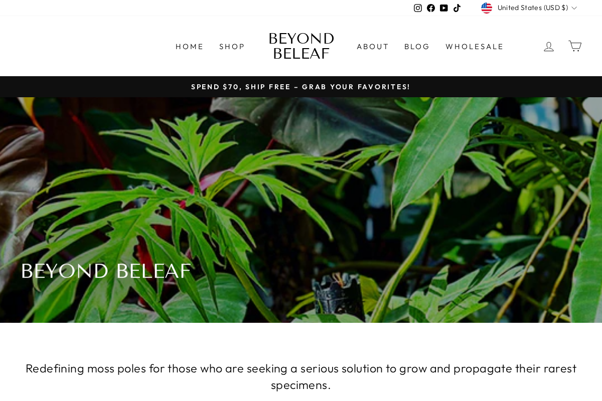 Beyond Beleaf homepage screenshot