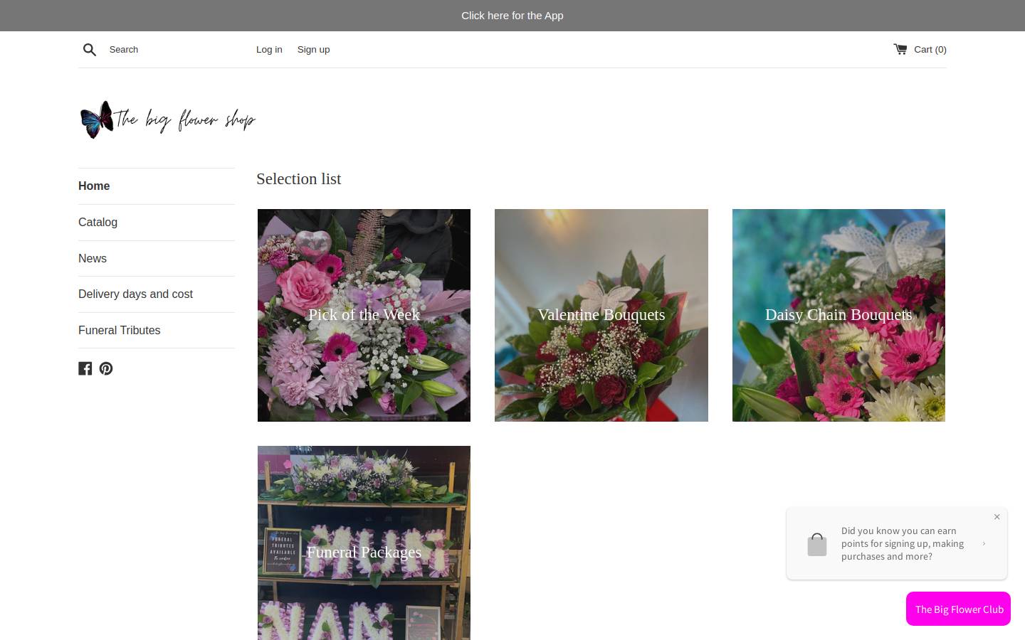 thebigflowershop.com homepage screenshot