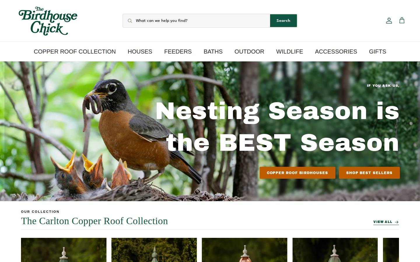 BirdhouseChick homepage screenshot