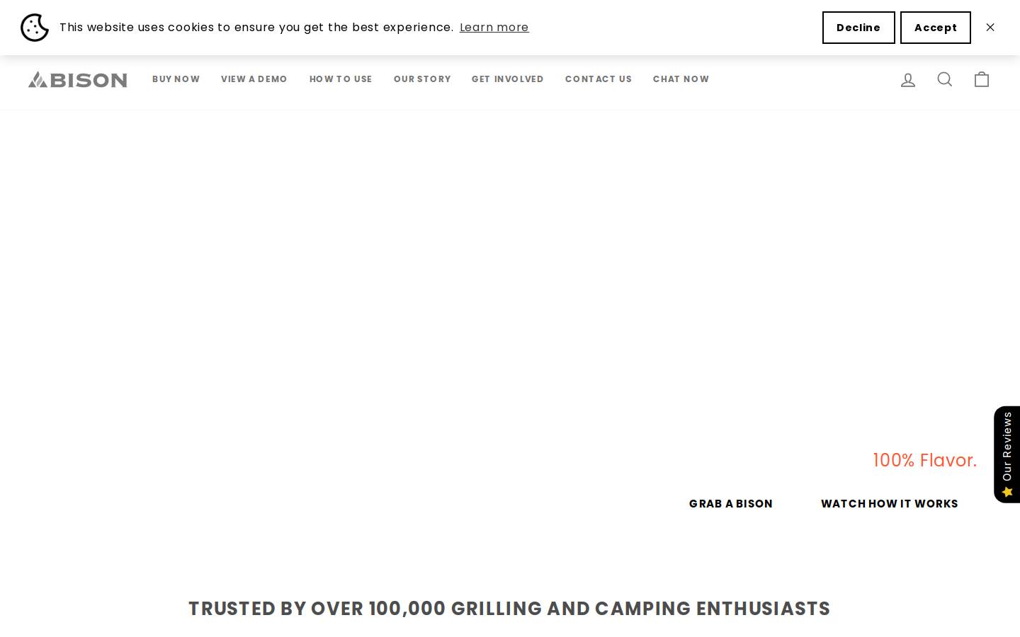 thebisoncompany.com homepage screenshot