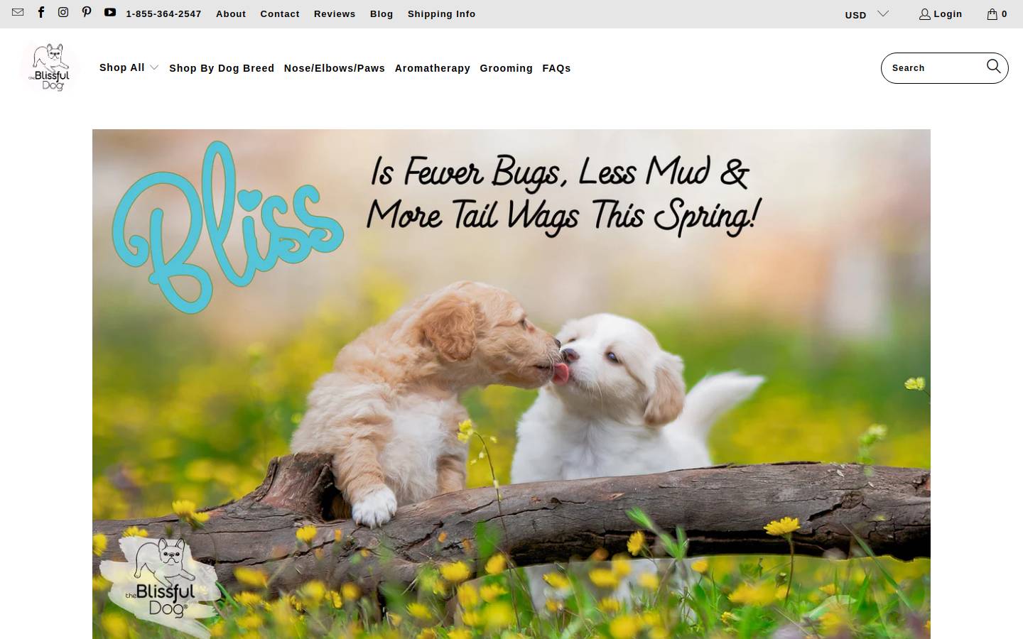 theblissfuldog.com homepage screenshot
