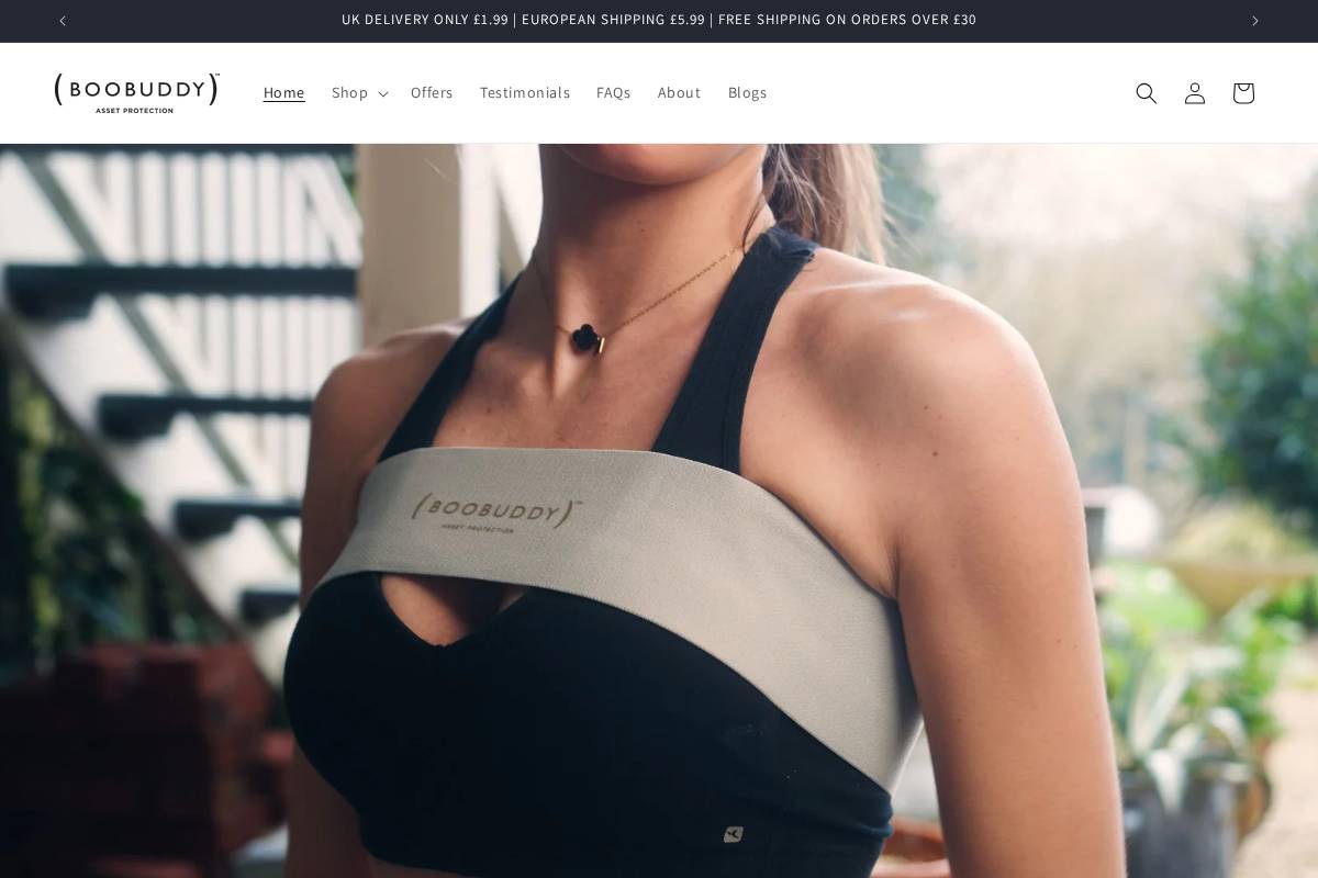 Theboobuddy homepage screenshot