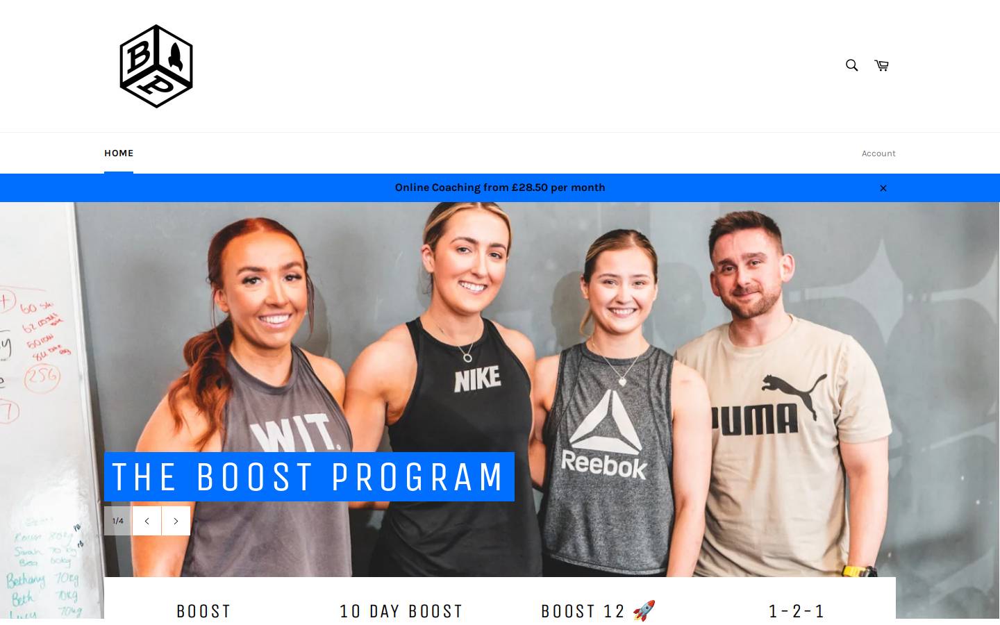 theboostprogram.com homepage screenshot