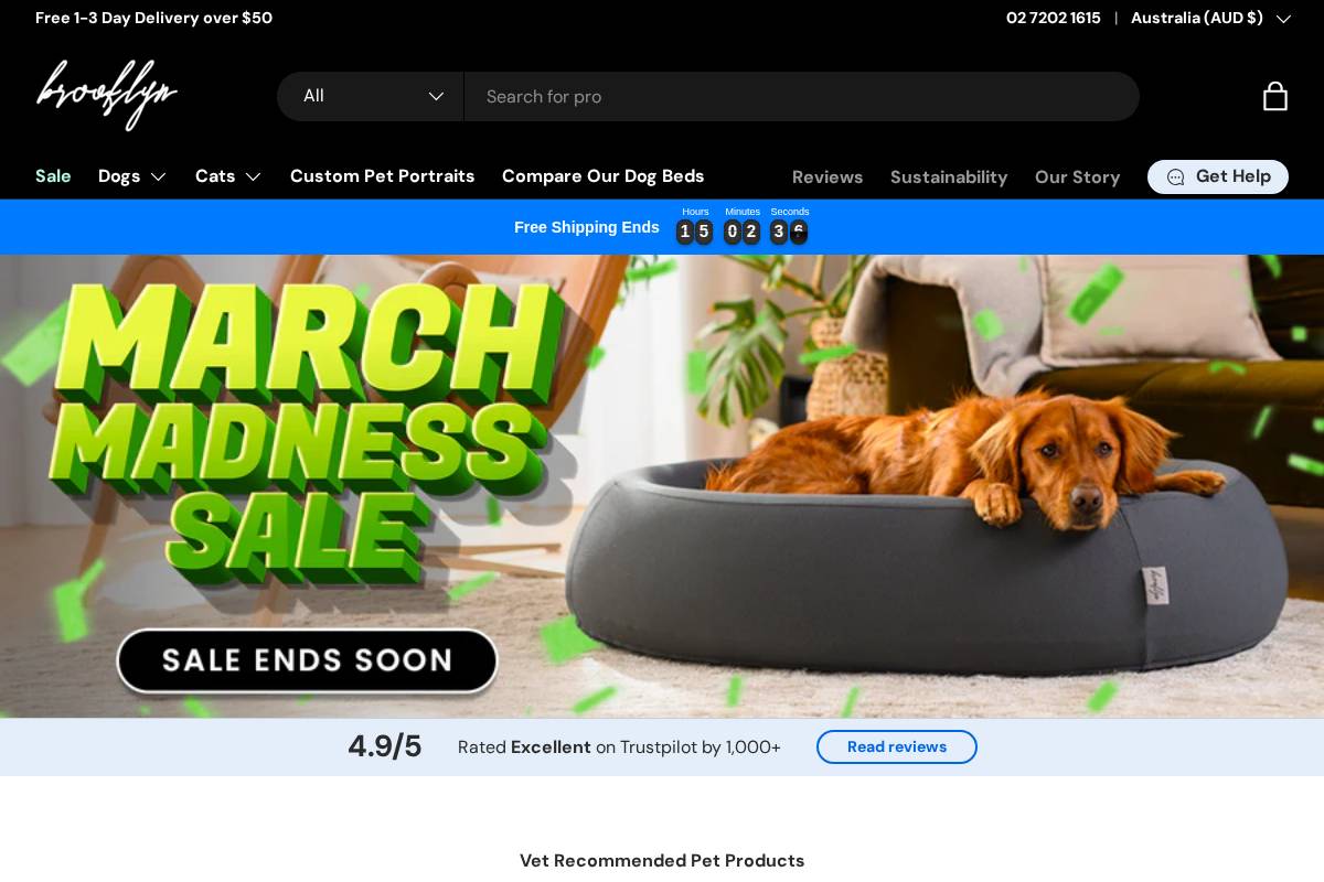 Thebrooklyn homepage screenshot