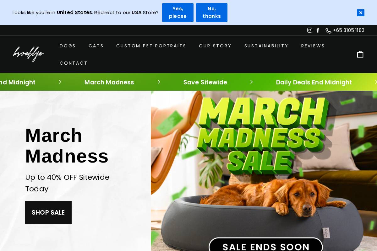 thebrooklyn.sg homepage screenshot