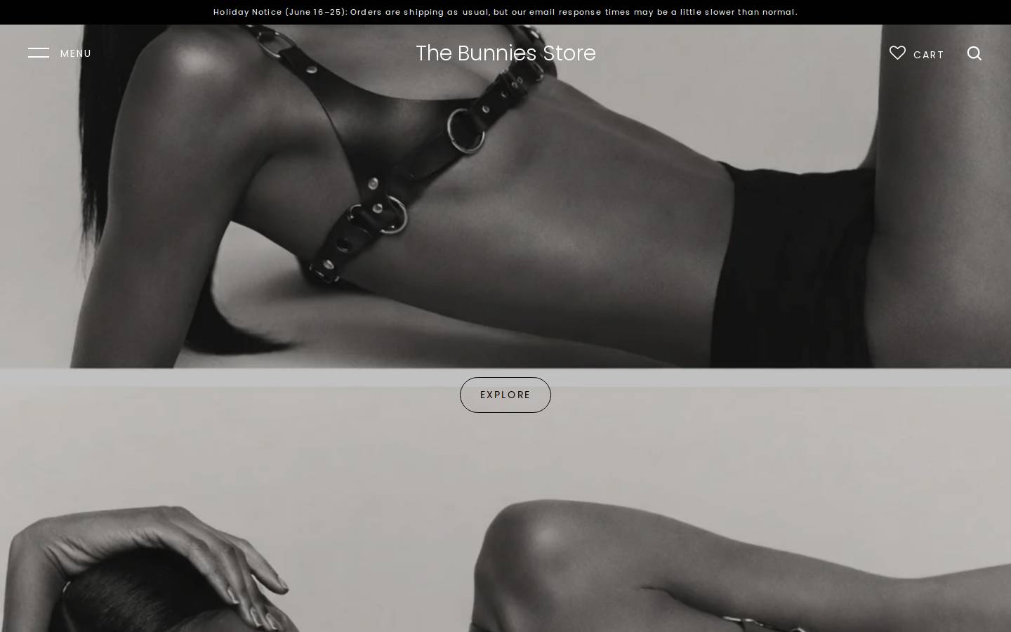 Thebunniestore homepage screenshot
