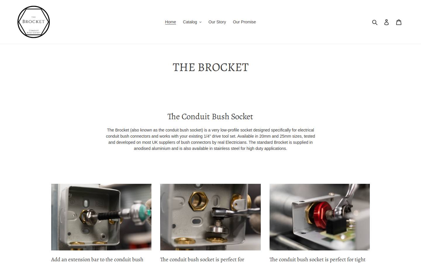 thebushsocket.com homepage screenshot