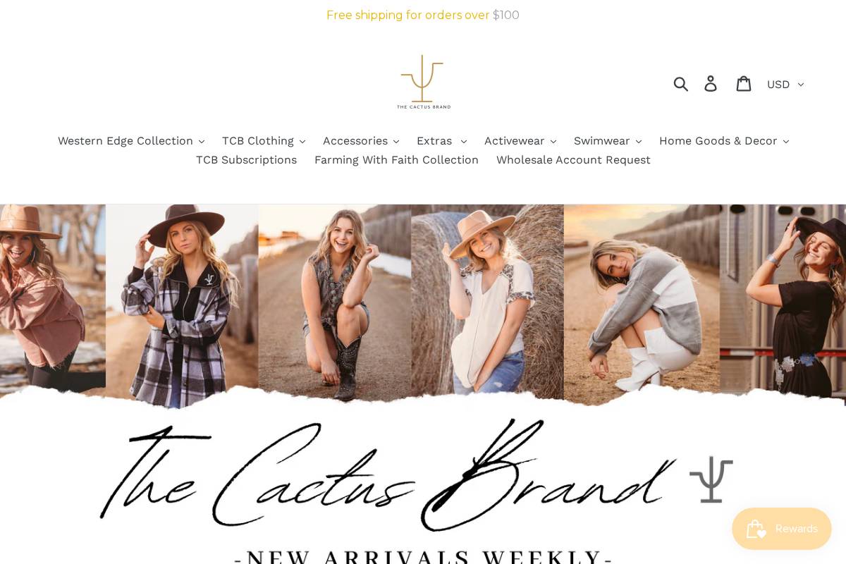 thecactusbrand.co homepage screenshot