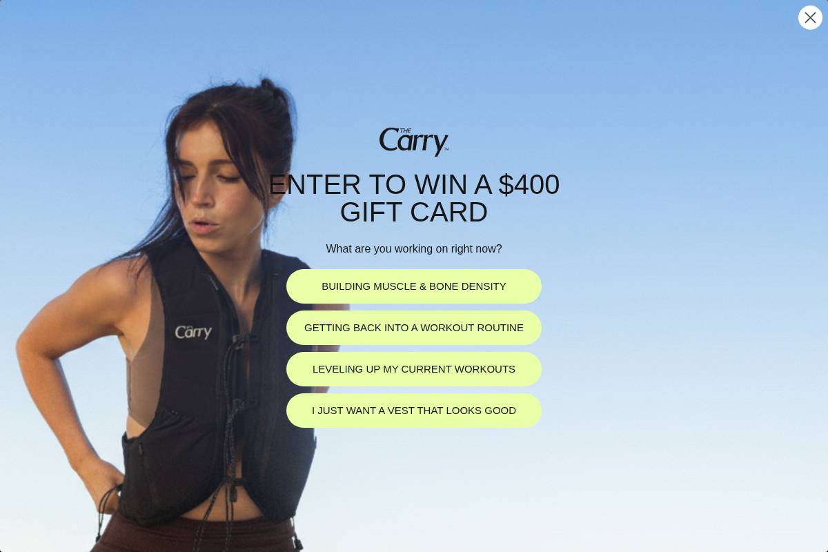 thecarry.co homepage screenshot