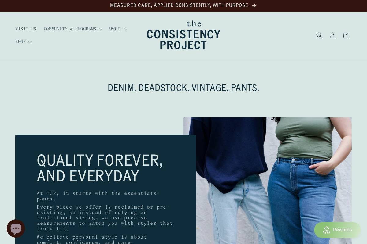 theconsistencyproject.com homepage screenshot