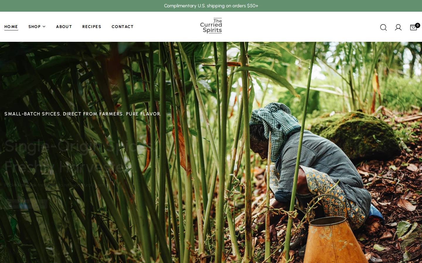 thecurriedspirits.com homepage screenshot
