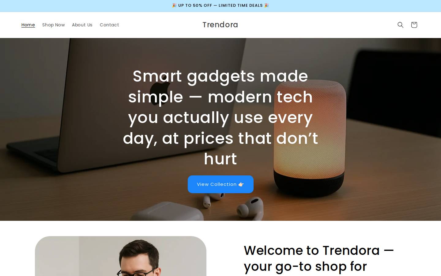 theetrendora.com homepage screenshot
