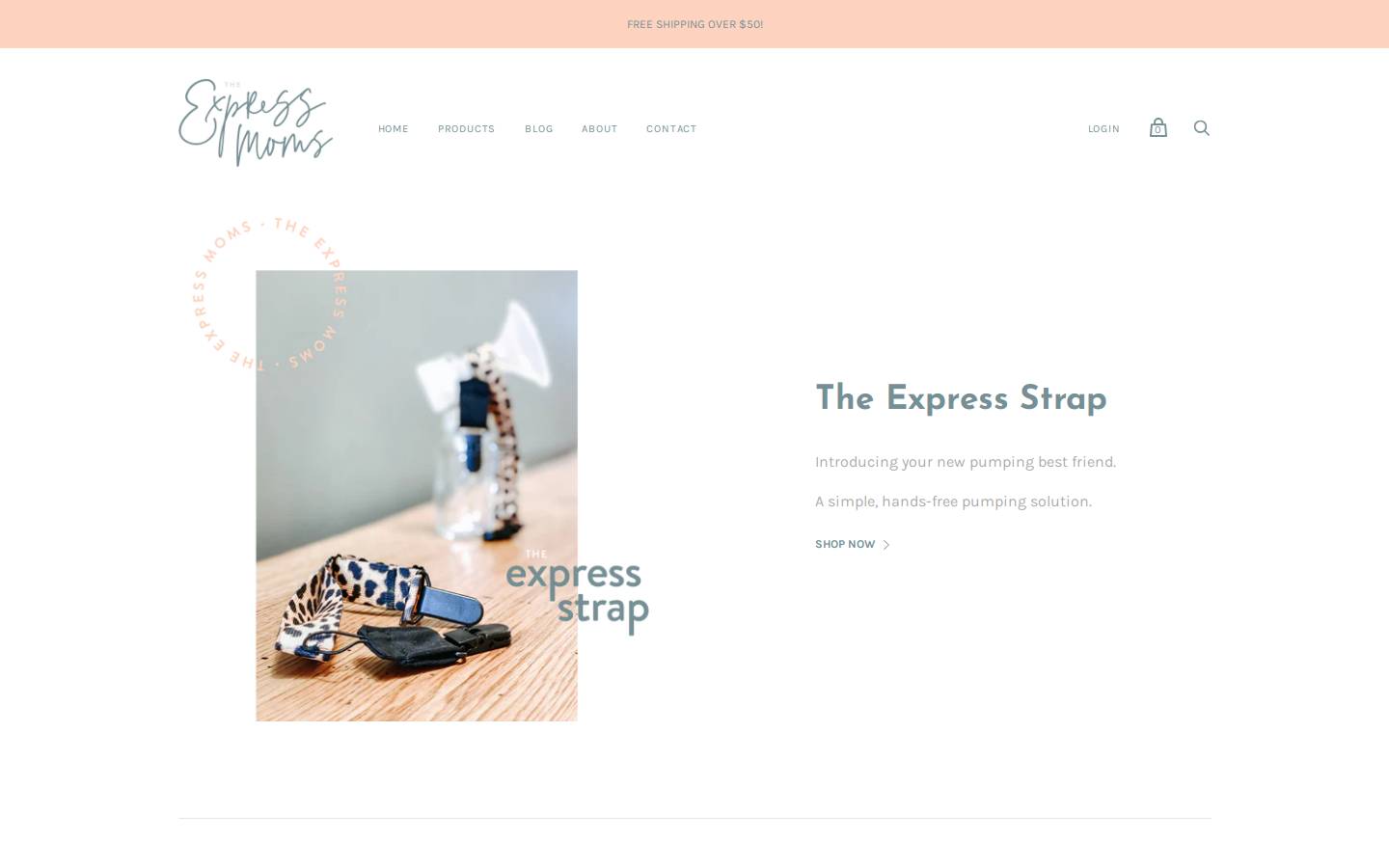 theexpressmoms.com homepage screenshot
