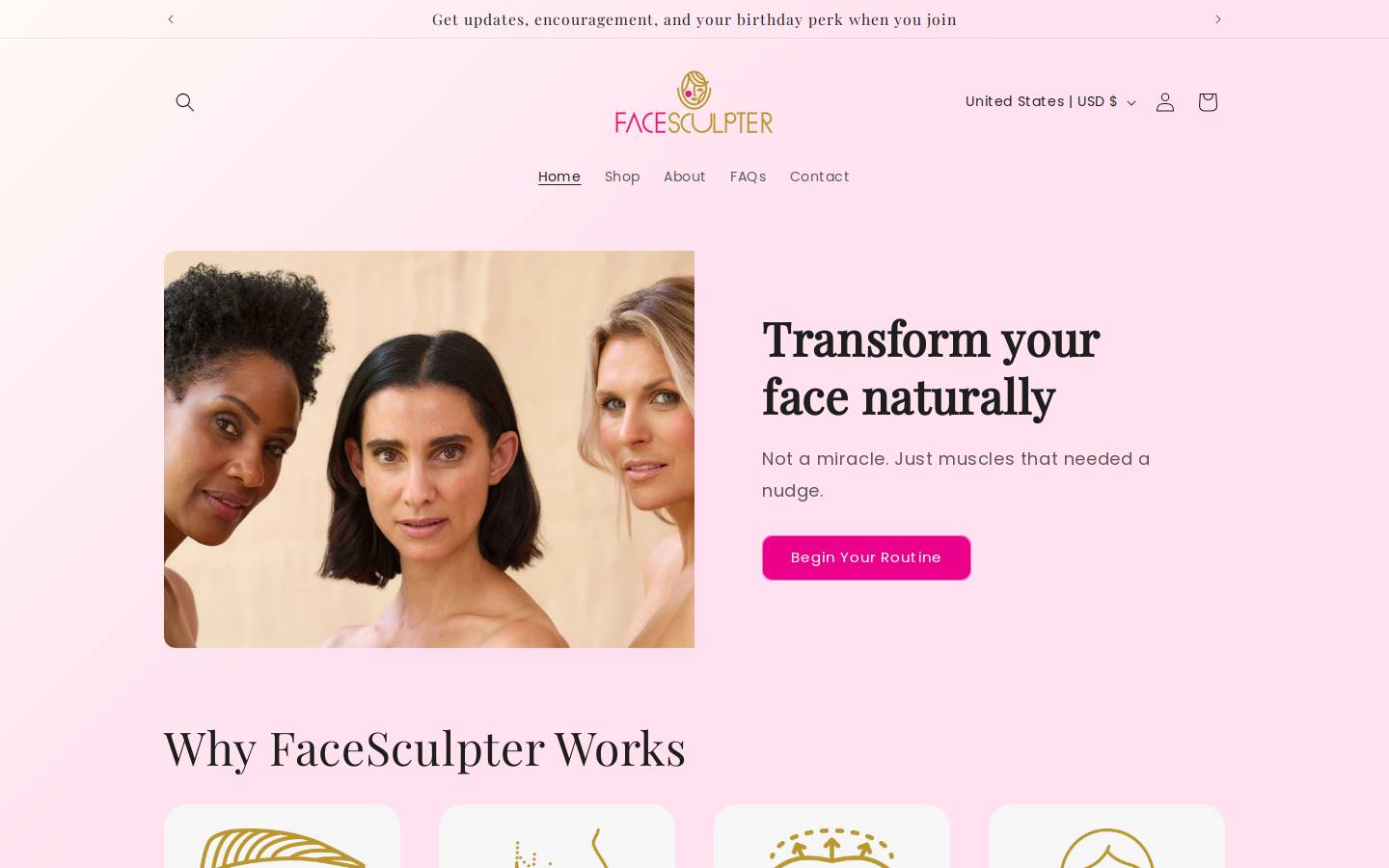 thefacesculpter.com homepage screenshot