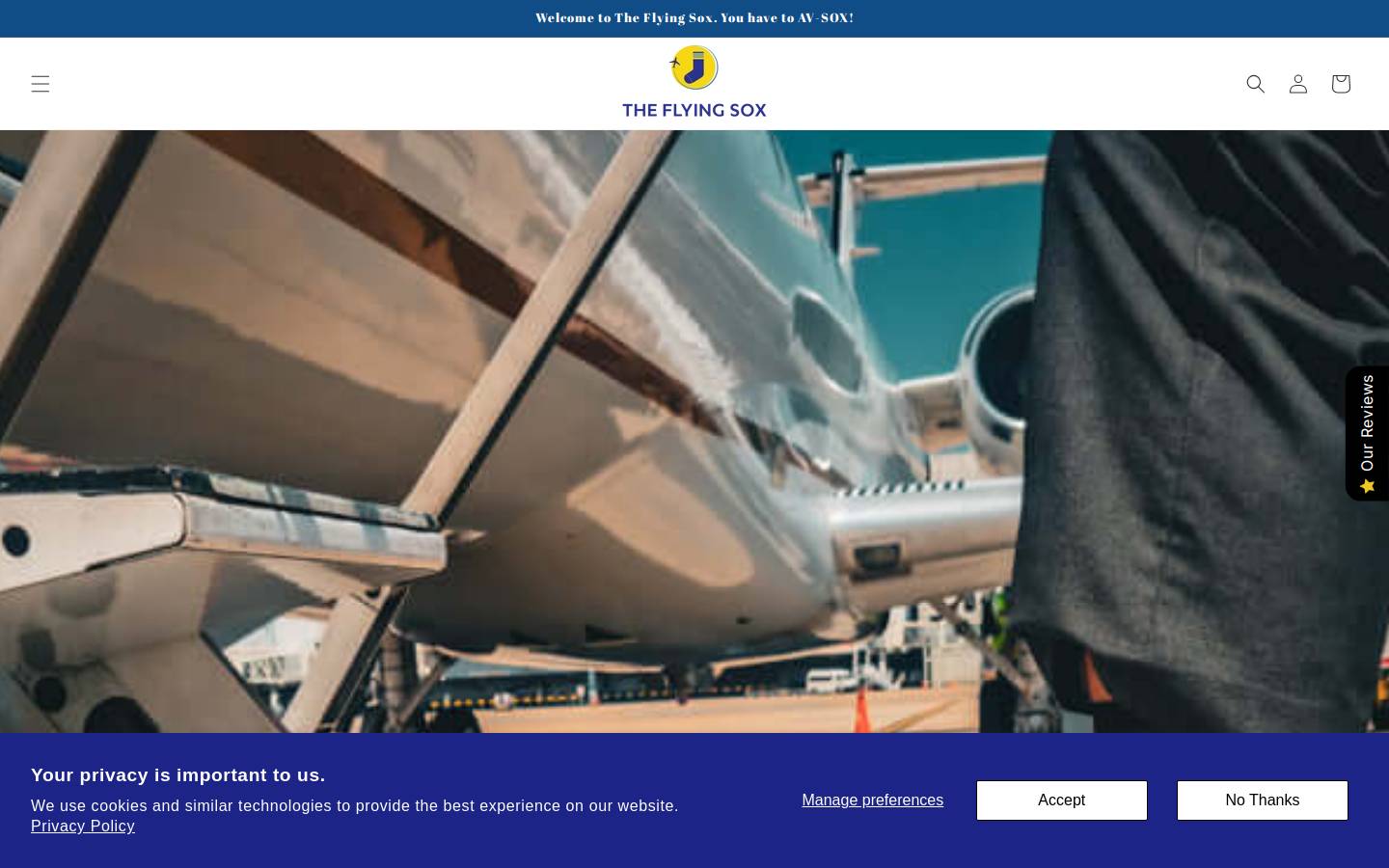 theflyingsox.co.za homepage screenshot
