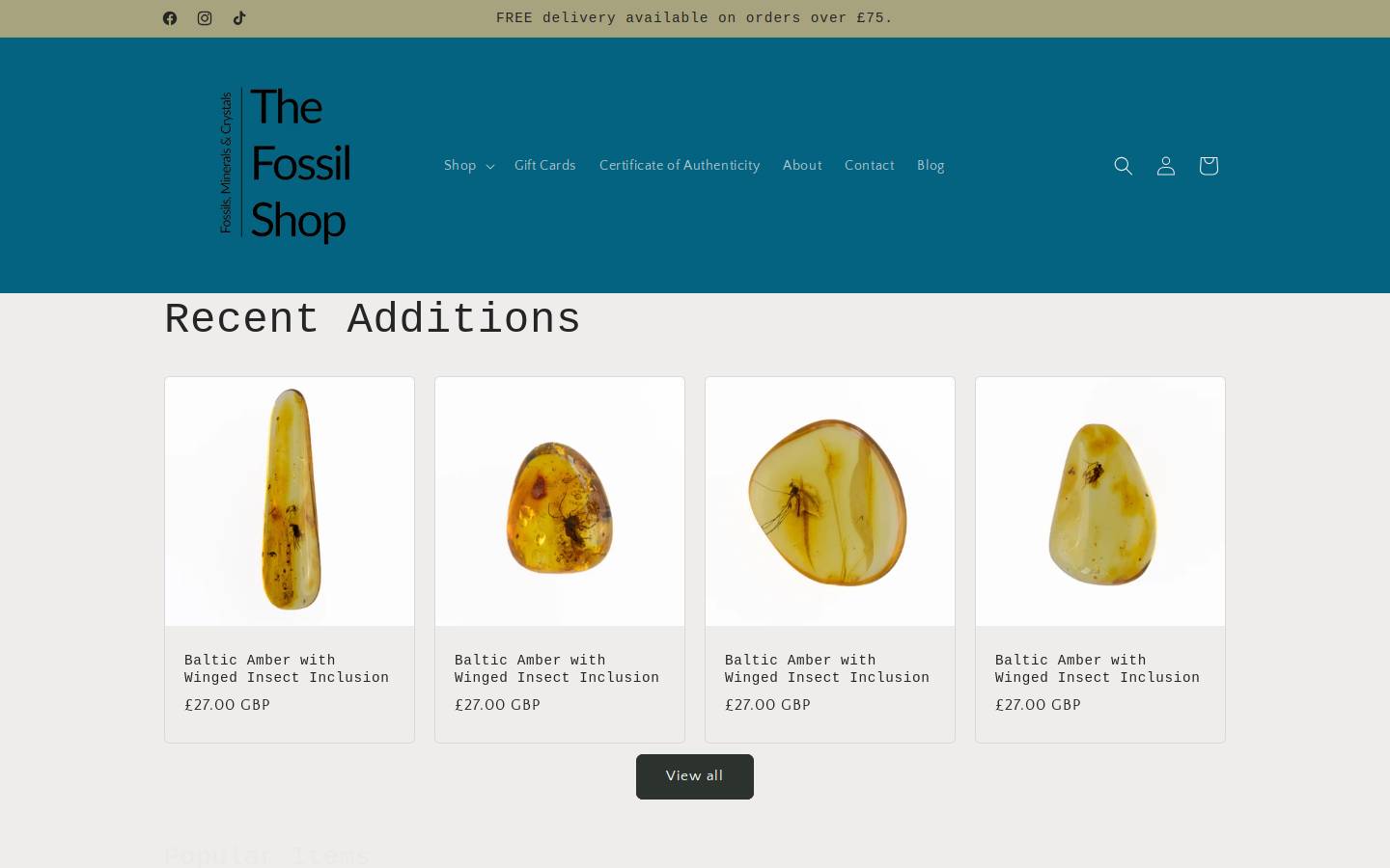 The Fossil Shop homepage screenshot