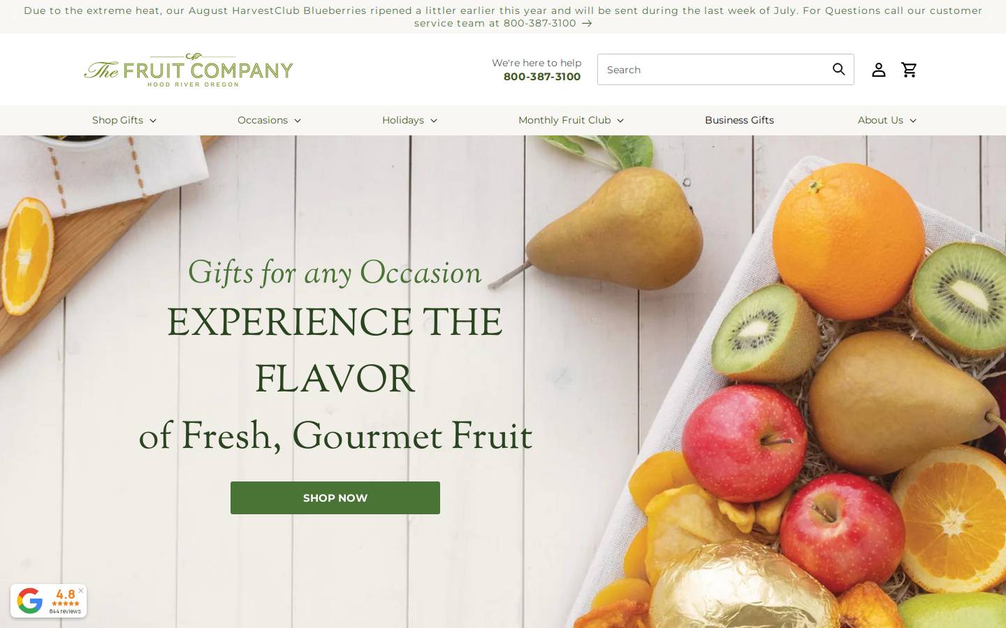 The Fruit Company homepage screenshot