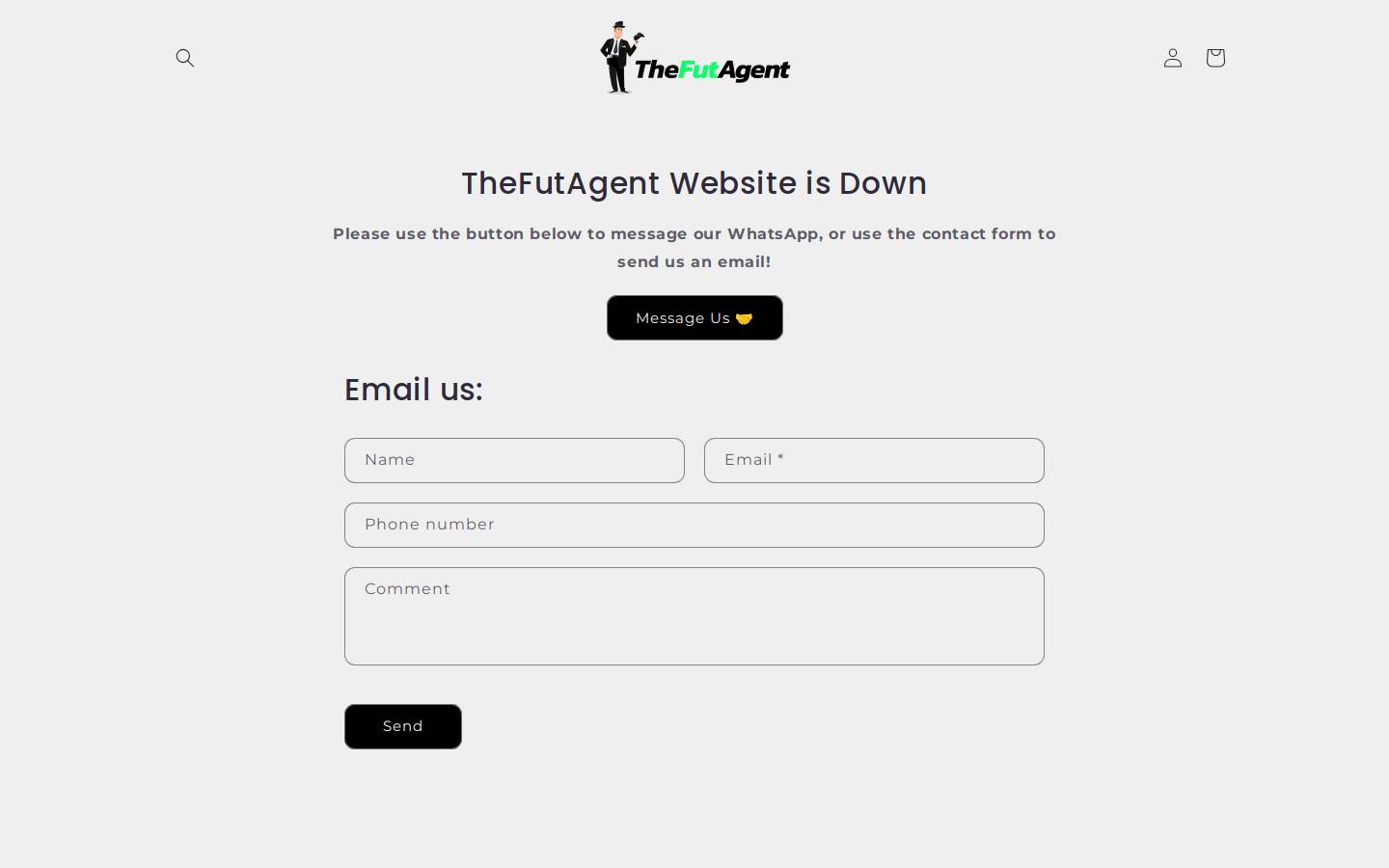 TheFutAgent homepage screenshot